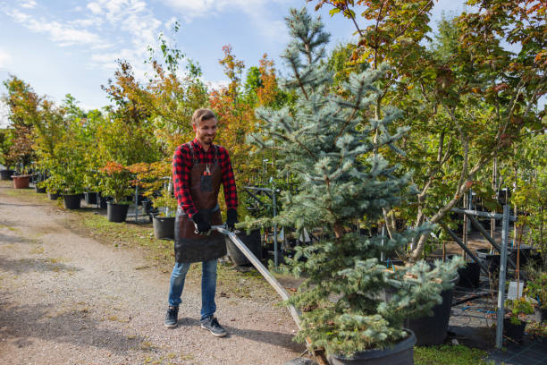 Best Commercial Tree Services  in Westchester, IL